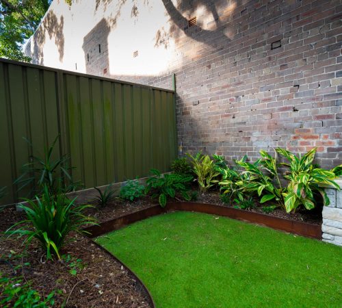 Backyard landscaping